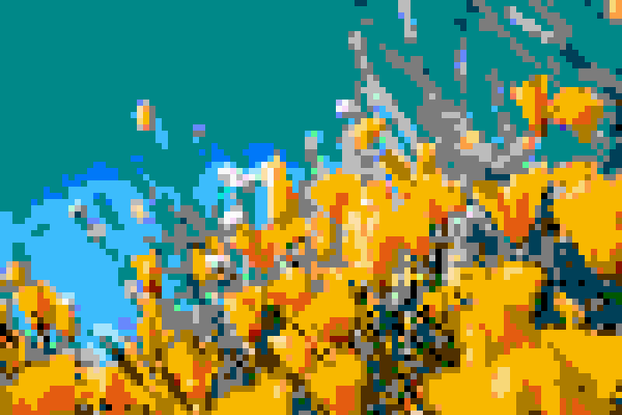Flowers after pixelation